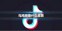 乌鸡哥是什么意思 乌鸡哥原版视频介绍
