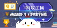 猜一猜：座头鲸会用哪种方法捕食磷虾 蚂蚁庄园4月11日答案早知道