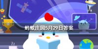 哪种动物一生都在换牙，只要牙齿受损立刻会有新的补上 蚂蚁庄园今日答案5月29日