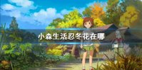 《小森生活》忍冬花在哪 忍冬花多久刷新一次