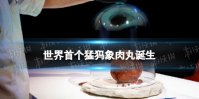 世界首个猛犸象肉丸诞生 已灭绝猛犸象DNA被培育制成肉丸