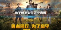 《和平精英》如何开变声器 变声器开启方法介绍