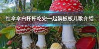 红伞伞白杆杆吃完一起躺板板儿歌 红伞伞白杆杆是什么
