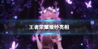 《王者荣耀》婚纱亮相 全部婚纱介绍