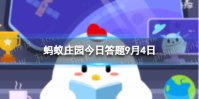 大熊猫的尾巴是什么颜色 蚂蚁庄园9.4答案最新