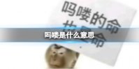 吗喽是什么意思