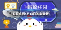 盲道表面是什么形状 蚂蚁庄园5月14日答案最新