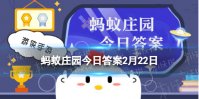 小鸡宝宝考考你以下哪个成语与古代的竹简有关
