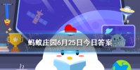 家里的小猫小狗能辨认出镜子里的自己吗 蚂蚁庄园今日答案最新6.25