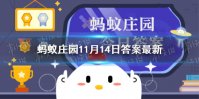 鸠占鹊巢的鹊指的是什么 蚂蚁庄园今日答案鸠占鹊巢